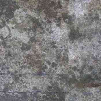 Click para ampliar. Pulsa en el nombre para ver la ficha. Lápidas funerariais Punta Carboeira (detalles 5). Pontedeume. Coruña